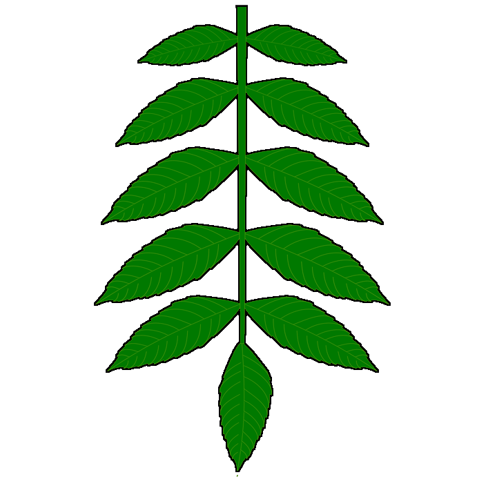 ascelyn_of_ben_dunfirth_badge.png ascelyn_of_ben_dunfirth_badge.png