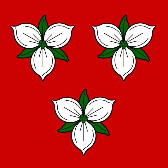 ealdormere_ensign.png ealdormere_ensign.png