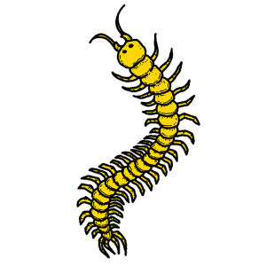 shimazu_kojirou_nobuhisa_badge_2.png