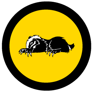 mjoll_ulfsdottir_round_shield.png