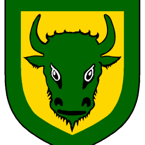 yolanda_de_albornoz_heraldry.png