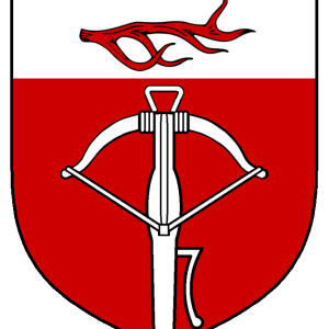 ivarr_raynorson_heraldry.png