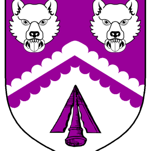 bjoern_skeggjason_heraldry.png