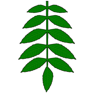 ascelyn_of_ben_dunfirth_badge.png