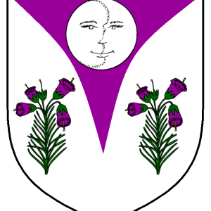 dwynwen_caerdydd_heraldry.png