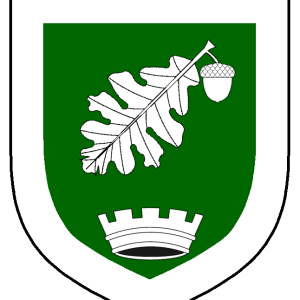 elaina_of_oaklawn_heraldry.png