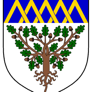 gilli_galmann_heraldry.png