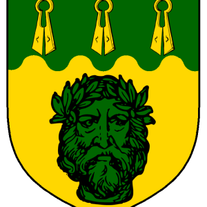 maegwynn_skrautibrok_heraldry.png