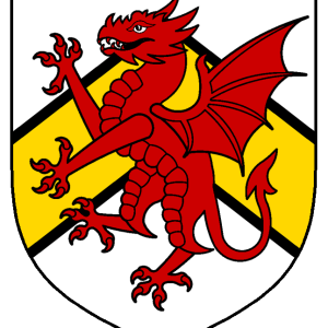 arcill_beg_mac_ruadri_big_mic_sithig_heraldry.png