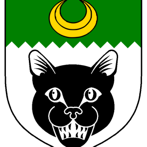 dananir_bint_zang_al_tabib_heraldry.png