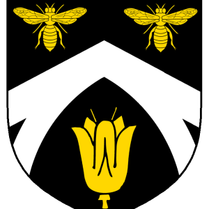 maerwynn_llwyd_heraldry.png