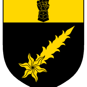 bj%C7%ABrn_jarnason_heraldry.png