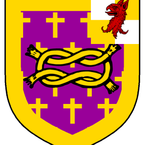 arwyn_of_leicester_augmentation.png