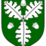 valdi_jarnsmidhr_called_valdr_heraldry.png