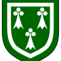 henry_foster_heraldry.png